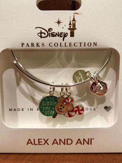 Disney Braclets, Disney Jewelry Bracelets, Disney Silver Bracelet Gift, Disney Jewelry Bracelet, Disney Charm Bracelet, Muslim Images, Candy Necklaces, Alex And Ani Bracelets, Christmas Events