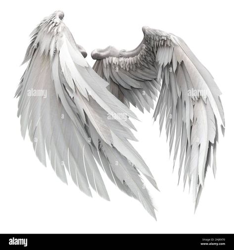 Pair of isolated angel wings with 3D feathers on white background, 3D Illustration, 3D Rendering Stock Photo - Alamy 천사와 악마, Alas Tattoo, Angel Wings Painting, Angel Wings Drawing, Sacred Heart Art, How To Render, White Angel Wings, Angel Feathers, Wings Drawing