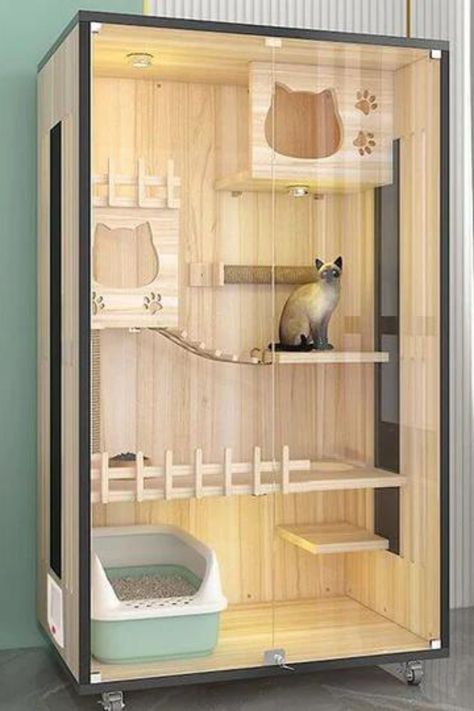 Cat Hotel Room, Cat House Indoor Ideas, Cat Hotel Design Ideas, Cat Cage Ideas Indoor, Cat Hotel Ideas, Cat Cages Indoor, Dog Room Design, Cat Mansion, Cat Park