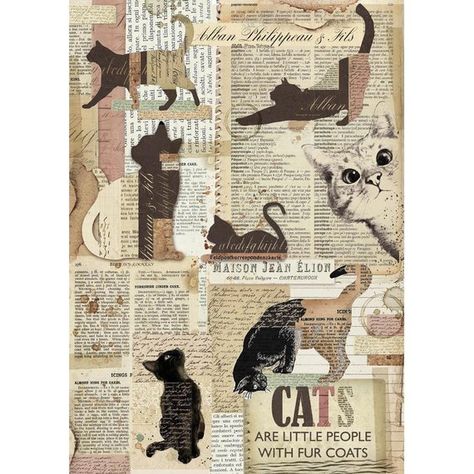 Stamperia Rice Paper, Decopage Paper, Cats Kunst Collages, Decoupage Crafts, Cat Collage, Arte Doodle, Postal Vintage, Paper Collage Art, Newspaper Crafts, Scrapbook Stickers Printable, Decoupage Paper