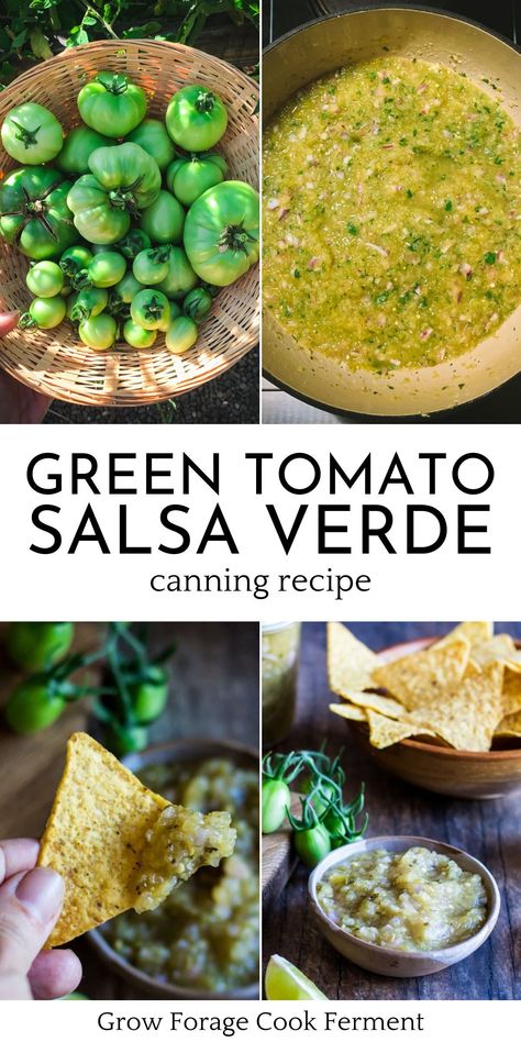 Green Tomato Salsa Verde Canning, Green Salsa Recipes, Green Tomato Salsa Verde Canning Recipe, Salsa Verde Canning, Salsa Verde Canning Recipe, Green Tomato Salsa Verde, Tomato Salsa Recipe Fresh, Canning Green Tomatoes, Green Salsa Recipe