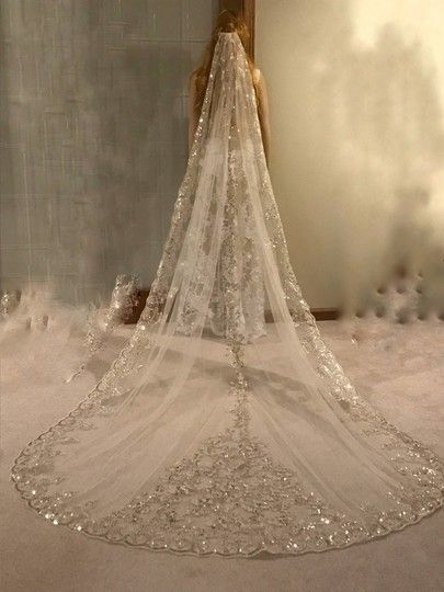 Bride Veil Long, Bridal Vail, Long Veils Bridal, Unique Wedding Veils, Sparkle Veil, Bridal Veils And Headpieces, Long Veil Wedding, Extravagant Wedding, Bride Veil