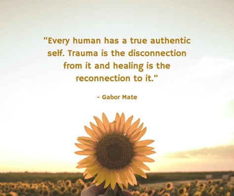 Gabor Mate Quotes Wisdom, Reconnection Quotes, Dr Gabor Mate Quotes, Traumatic Experience Quotes, Gabor Mate Quotes, Mate Quotes, Gabor Mate, Health Psychology, Blogging Quotes