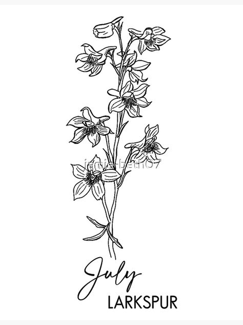 Lakespur Flower Tattoo, Larkspur Flower Drawing, July Birth Flower Tattoo, July Birth Month, Birth Flower Art, Larkspur Tattoo, July Birth Flower, Larkspur Flower, Birth Flower Tattoos