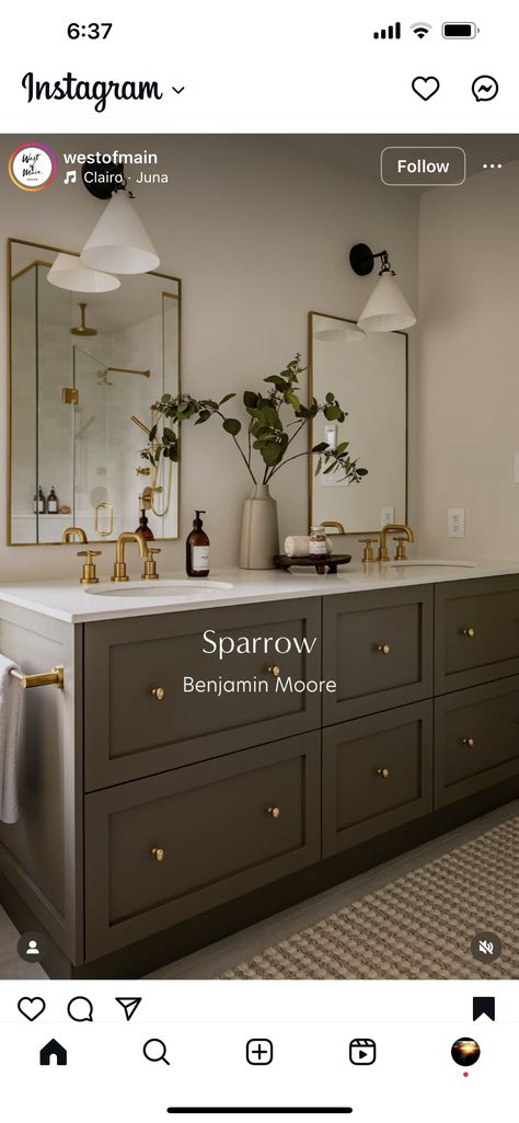 Green Vanity Paint Color, Brown Painted Bathroom Vanity, Green And Bronze Bathroom, Urbane Bronze Bathroom Vanity, Paint Colors For Guest Bedroom, Demo Day Magnolia Paint, Cocoon Sherwin Williams, Sherwin Williams Laurel Woods, Brown Cabinets Bathroom