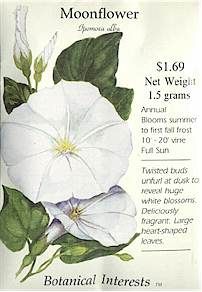 Moonflower Garden, Cottage Garden Flowers, Flowers At Home, Indoor Flowering Plants, Flower Seeds Packets, When To Plant, Flower Guide, Flower Meanings, Moon Garden