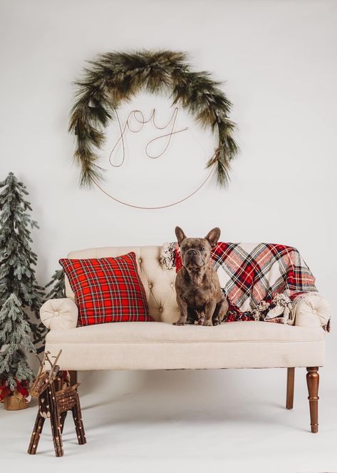 Christmas Decoration Photoshoot, Christmas Mini Sessions With Couch, Christmas Studio Setup Diy Photo, Indoor Holiday Mini Sessions, Christmas Photoshoot Setup Ideas Indoor, Indoor Xmas Photoshoot, Christmas Mini Session Indoor, Wreath Christmas Photoshoot, Modern Christmas Backdrop