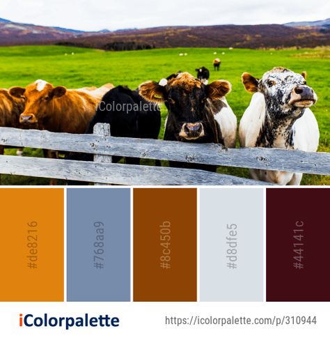 Color Palette Ideas from Cattle Like Mammal Pasture Dairy Cow Image Cow Color Palette, Farm Color Scheme, Farm Logo Color Palette, Animal Color Pallete, Wildlife Color Palette, Popular Color Palettes, Best Color Palettes, Cow Colour, Names List