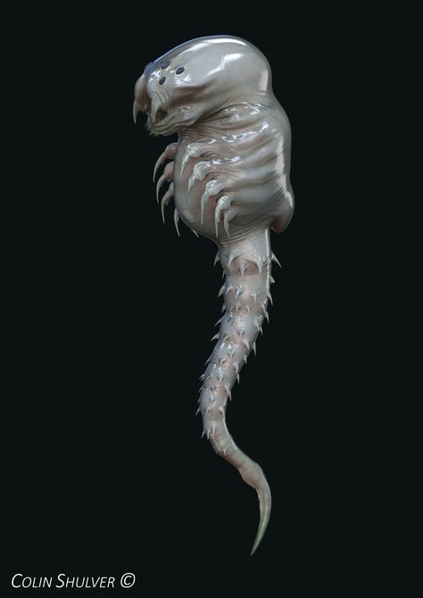 ArtStation - Parasite, COLIN SHULVER Parasite Concept Art, Alien Covenant Concept Art, Alien Parasite, Speculative Biology, Beast Creature, Aliens Movie, Creature Artwork, Dungeons And Dragons Game, Alien Design