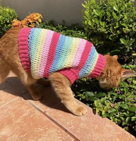 CROCHET PATTERN: Rainbow Cat Sweater - Etsy Australia Sweater Painting, Cat Sweater Knitting Pattern, Cat Sweater Pattern, Crochet Pour Halloween, Cat Christmas Sweater, Pattern Clothes, Pet Sweaters, Yarn Patterns, Pattern Rainbow