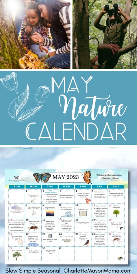 Download a free nature calendar for May 🦋 Nature Calendar, Michael Faraday, Journal Labels, Charlotte Mason Homeschool, Mini Booklet, Homeschooling Resources, Free Nature, New Scientist, How To Start Homeschooling