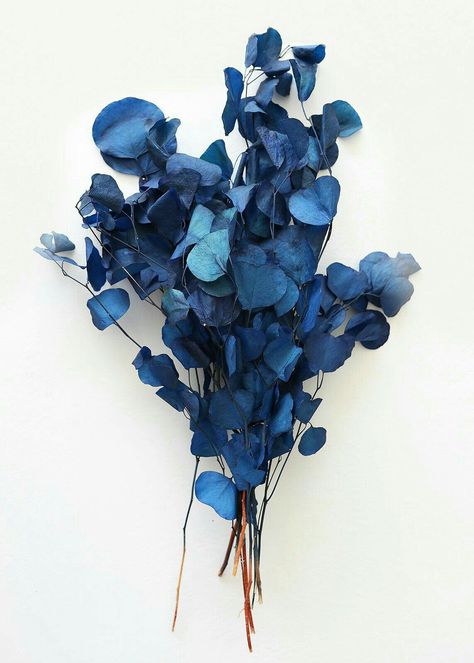 Flowers In Wedding, Preserved Leaves, Blue Eucalyptus, Rose Gold Aesthetic, Dollar Eucalyptus, Faux Olive Tree, Event Centerpiece, Eucalyptus Leaf, Silver Dollar Eucalyptus