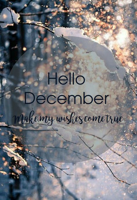 hello december,winter,christmas,snow It’s December, December Pics, Hi December, Happy New Month Of December, Welcome December Hello, Hey December, December New Month Greetings, New Month Wishes For December, Good Morning Wishes 1st December