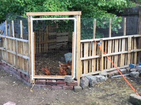 Small City Backyard, Build A Chicken Run, Building A Chicken Run, Chicken Coop Pallets, Chicken Fence, Chicken Coop Garden, Pallet Building, Backyard Chicken Coop Plans, Diy Chicken Coop Plans