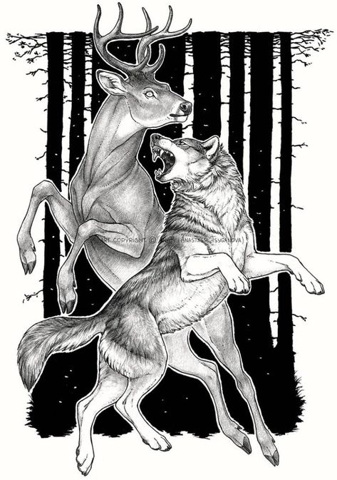 Fantasy Animals Drawing, Scratchy Drawing, Wolf Drawing Reference, Canine Drawing, Deer Drawing, Last Moment, Wolf Drawing, Canine Art, Deer Art