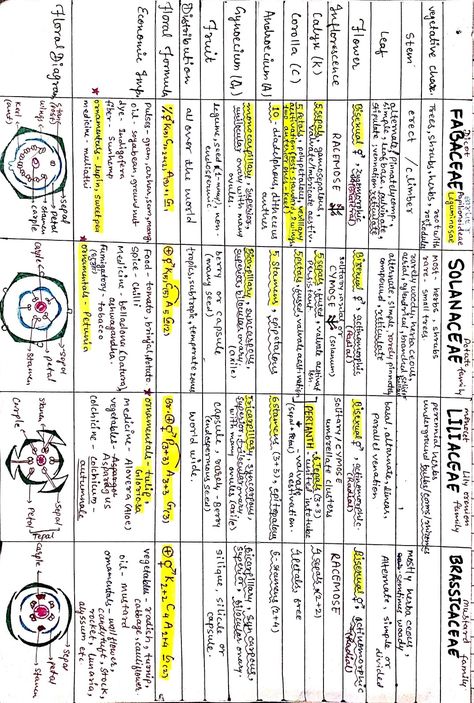 Plant Growth Regulators Notes, Botany Study Notes, Morphology Of Flowering Plants Mind Map, Plant Families Chart, Human Health And Disease Notes Neet, Cockroach Notes Neet, Biology Short Notes For Neet, Morphology Of Flowering Plants Notes For Neet, Respiration In Plants Notes Class 11