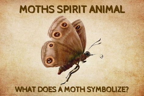 Moths are fascinating and beautiful creatures, famously drawn to the light. But what spiritual meaning do they hold? We’re going to look at the symbolism behind moths, exploring their appearance in the belief systems of Moth Spirit Animal Meaning, Flying Moth Tattoo, Spirit Animal Test, Moth Meaning, Moth Symbolism, Spirit Animal Quiz, Leopard Moth, Moth Fly, Spirit Animal Meaning