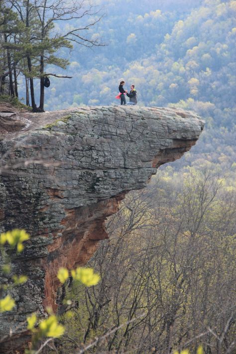 It's official! I'm engaged! Hawksbill Crag Trail Proposal, Nature Proposal, Mountain Proposal, Cute Proposal Ideas, Proposal Pictures, Pride Rock, Event Planning Tips, Proposal Photos, Wedding Proposals