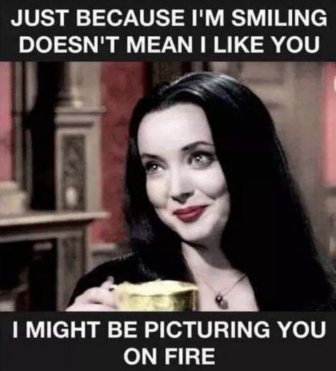 Addams Familie, Carolyn Jones, Sarcasm Only, Someecards, Sarcastic Quotes, Bones Funny, Just Because, Make Me Smile, Just In Case