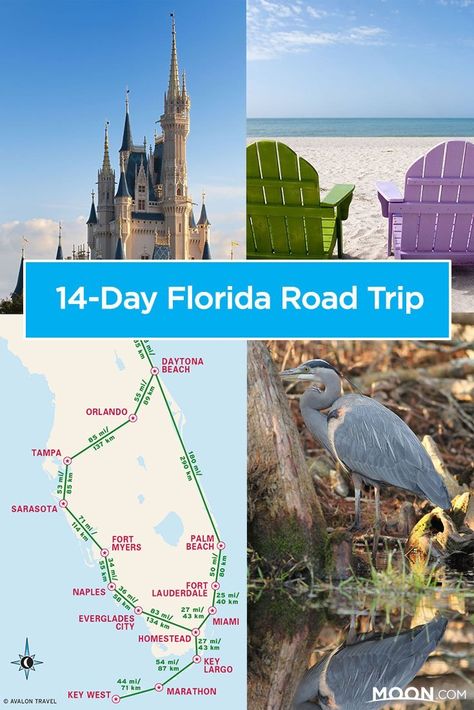 Florida Road Trip, Bahia Honda State Park, Miami City, Orlando Beach, Daytona Beach Florida, Quiet Beach, Fort Myers Beach, Travel Map, Trip Itinerary