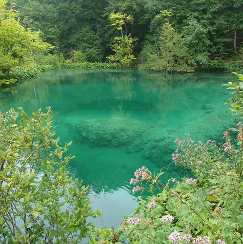 Grandma Aesthetic, Moody Nature, Plitvice Lakes, Have Inspiration, Nature Aesthetic, Pretty Places, Green Aesthetic, Mother Earth, Beautiful World