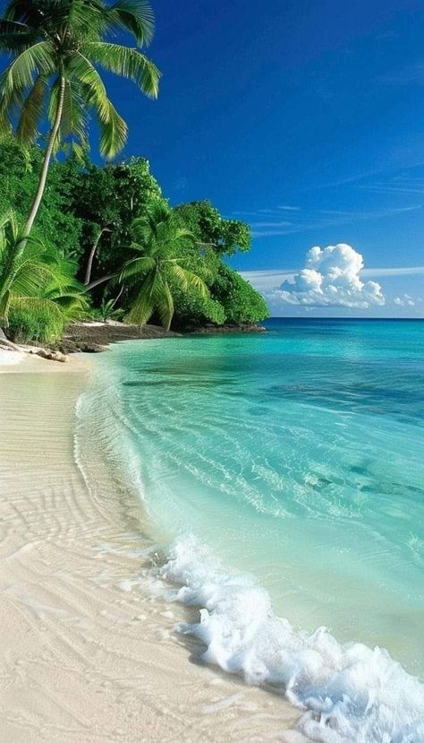 Beautiful Beaches Paradise, Maldives Beach, Beautiful Beach Pictures, Beautiful Ocean Pictures, Exotic Beaches, Ocean Pictures, मोबाइल वॉलपेपर, Beach Wallpaper, Beautiful Locations Nature