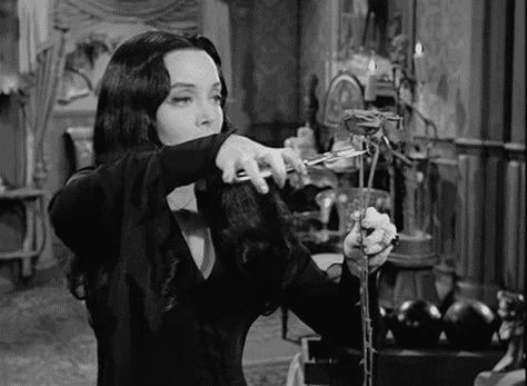 ! The Addams Family 1964, Addams Family Tv Show, Morticia And Gomez Addams, Charles Addams, Gomez And Morticia, Gomez Addams, Carolyn Jones, Morticia Addams, Adams Family