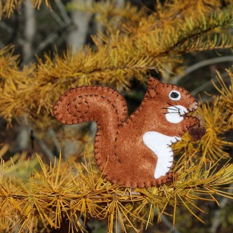 Bring the joy of the Maine woods indoors with this darling red squirrel pattern. He's perfect for your Christmas tree. Felt Squirrel Pattern Free, Felt Squirrel, Squirrel Ornament, Squirrel Pattern, Red Squirrels, Felt Ornaments Patterns, Felt Animal, A Squirrel, Felt Pattern