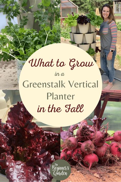 12+ ideas for what to grow in your Greenstalk Vertical Planter in the Fall! Plus, tips on when to plant, how many per pocket, and more! Greenstalk Vertical Planter, Fall Crops, Garden Planning Layout, Vertical Vegetable Gardens, Vertical Garden Planters, Pocket Garden, When To Plant, Vertical Planter, Chicken Garden