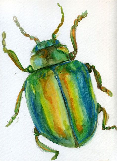 Beetle Watercolor Insects, Beetle Drawing Reference, Bug Watercolor Painting, Insect Watercolor Painting, Cute Beetle Drawing, Drawings For Watercolor, Watercolor Bugs Insects, Bug Painting Ideas, Funky Watercolor Art