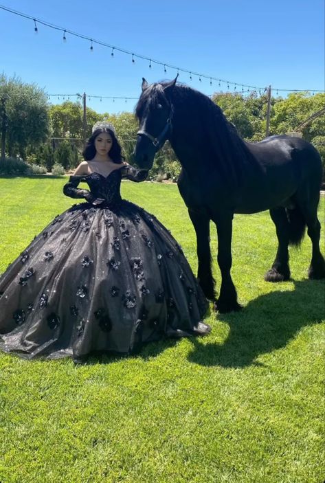 Black Quinceanera Theme Ideas, Dresses Quinceanera Black, Quencinera Dresses Black, Qencenera Dresses Black, Black Dress For Quinceanera, Black Dresses Quinceanera, Sparkly Black Quinceanera Dresses, Quinceanera Themes Black, Quince Black Dresses