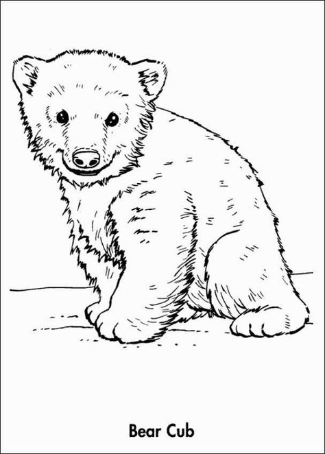 Spring Baby Animal Action Cards Polar Bear Coloring Page, Polar Bear Color, Polar Bear Drawing, Teddy Bear Coloring Pages, Planet Coloring Pages, Teddy Bear Drawing, Bear Sketch, Black Bear Cub, Baby Coloring Pages