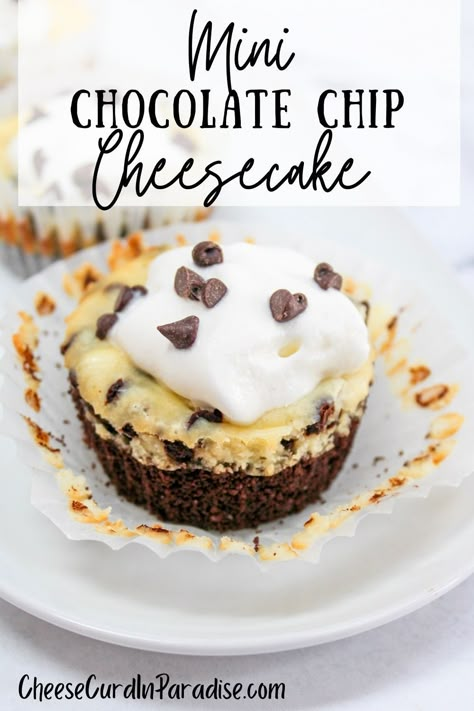 Mini Chocolate Chip Cheesecake are a simple bite-sized dessert everyone will love. Creamy vanilla cheesecake studded with mini chocolate chips, and baked with a chocolate crust. #Cheesecake #Chocolate Chocolate Crust Cheesecake, Mini Chocolate Chip Cupcakes, Mini Chocolate Cheesecakes, Cheese Curd, Desserts With Chocolate Chips, Cheesecake Bites Recipe, Eclair Recipe, Mini Cheesecake Recipes, Sweet Smoothies