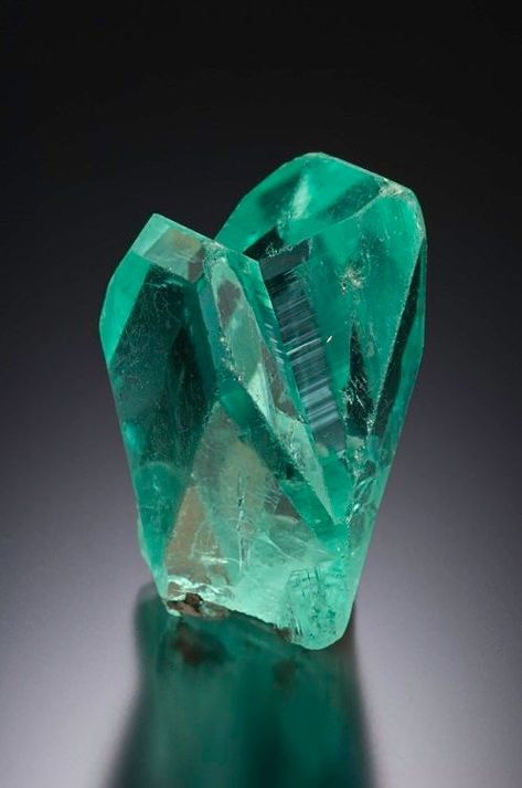 Rare Phosphophyllite - Unificada Mine, Potosi, Bolivia Minerals Crystals Rocks, Land Of The Lustrous, Crystal Therapy, Cool Rocks, Rocks Crystals, Gems Crystals, Mineral Stone, Bluish Green, Minerals And Gemstones