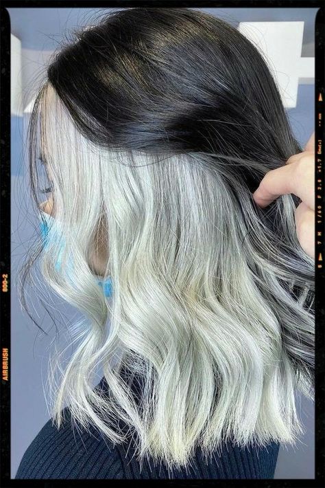 Black And White Hairstyles, Blonde Underneath Hair, Undercolor Hair, White Hairstyles, Under Hair Color, Half Dyed Hair, Color Block Hair, Black And White Hair, Warm Scarves