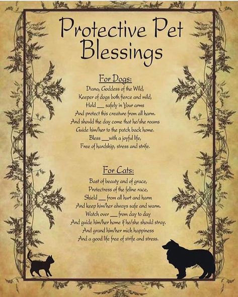 Ruby Starling on Instagram: “#wicca #wiccan #wiccansofinstagram #witchcraft #witch #witchesofinstagram #ouijaboard #ouija #planchette #pagan #pagansofinstagram…” Halloween Spell Book, Halloween Spells, Spells For Beginners, Wiccan Magic, Grimoire Book, Eclectic Witch, Wiccan Witch, Magick Spells, Wiccan Spell Book