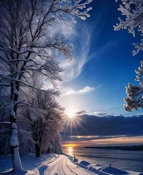 Beautiful Sunrise Mornings, Winter Photography Nature, Snowy Morning, Morning Winter, Beautiful Winter Scenes, Mistletoe Christmas, Winter Sunrise, A Beautiful Morning, Winter Nature