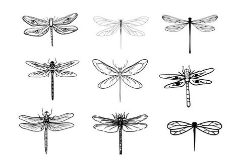 Dragon Fly Tattoo Drawing, Three Dragonflies Tattoo, Dragonfly Flash Tattoo, Minimalist Dragonfly Tattoo Simple, Dragon Fly Line Tattoo, Simple Dragon Fly Tattoos, Simple Dragonfly Tattoo Outline, Dragonfly Shin Tattoo, Dragon Fly Design