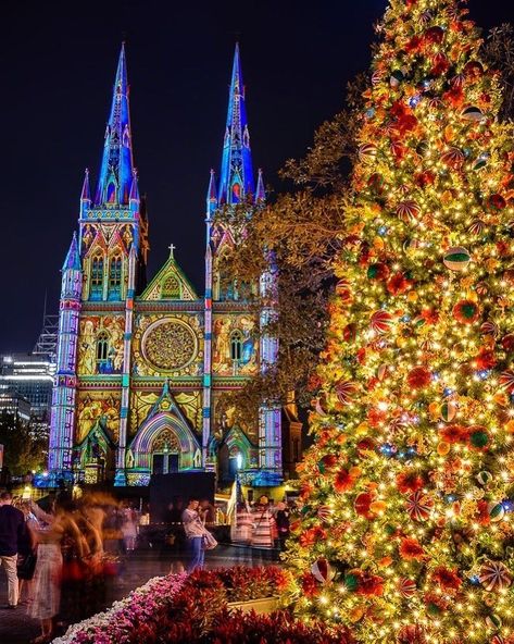 Christmas Light Show, Instagram Christmas, Nsw Australia, Christmas Light, St Mary, Light Show, Sydney Australia, City Lights, Cologne Cathedral