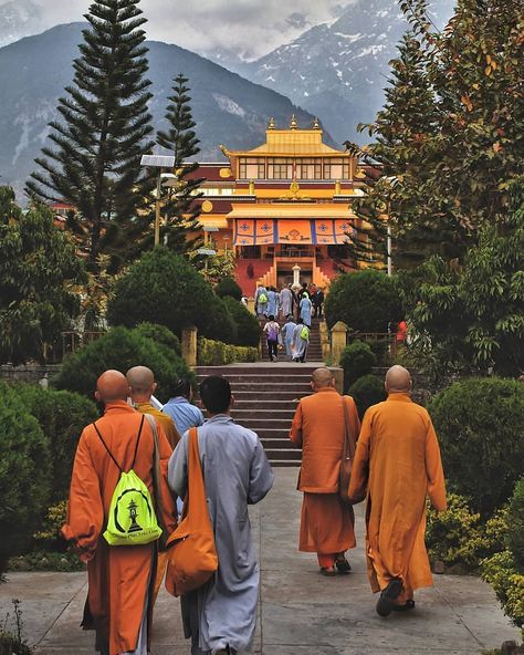 Dharamshala Himachal Pradesh, Say No To Plastic, Travel Points, Indian Photography, Lhasa, Hill Station, Himachal Pradesh, Buddhist Art, Photo Projects