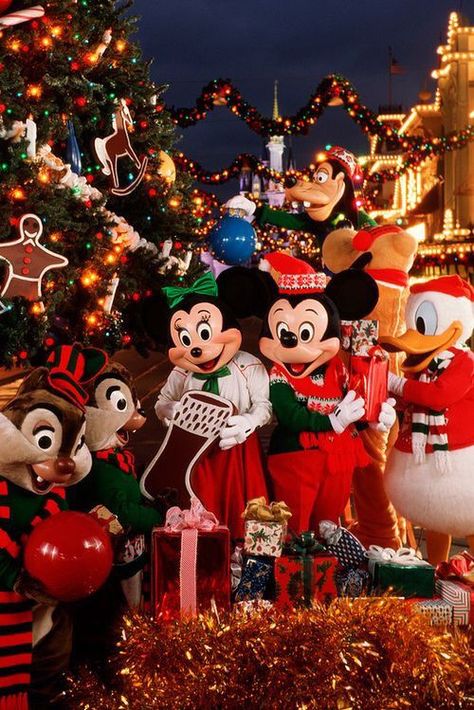 Christmas In Disneyland, Disneyland Paris Christmas, Disney Merry Christmas, Christmas At Disney, Paris Christmas, Disneyland Christmas, Disney World Christmas, Very Merry Christmas Party, Disney Paris