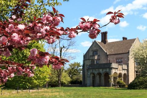 A historic gem of Long Island's famous Gold Coast, the Planting Fields Arboretum State Historic Park is one of the most beautiful slices of history that you'll ever explore here in New York. Park In New York, Nassau County, Oyster Bay, Lavender Plant, Visit New York, Nassau, Gold Coast, Long Island, State Park