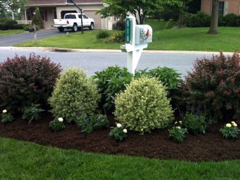 Top 30 Best Mailbox Landscaping Ideas - Plant Designs Mailbox Plants, Mailbox Landscape, Landscaping Driveway, Entrance Landscaping, Mailbox Flowers, Mailbox Garden, Mailbox Landscaping, Landscape Curbing, Driveway Landscaping