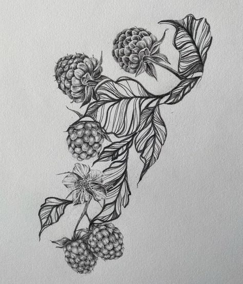 Blackberry Tattoo, Hipster Tattoo, American Traditional Tattoo Ideas, Traditional Tattoo Ideas, Garden Tattoos, Tattoo Filler, Full Arm Tattoos, Doodle Tattoo, Plant Tattoo