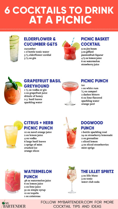 Cocktails To Drink At A Picnic Picnic Cocktails, Cocktail Picnic, Fun Cocktail Recipes, Picnic Drinks, Cocktail Recipes Tequila, Easy Summer Cocktail Recipes, Bartender Drinks Recipes, Wine Cocktail Recipes, Cocktail Fruit