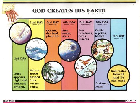 Search for Truth - God Creates His Earth Bible Infographics, Quick View Bible, Bible Search, Bible Timeline, Revelation Bible, Study Notebook, Belief In God, Bible Text, Bible Study Guide