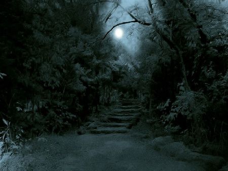 Full Moon In a Dark Forest Forest Moon, American Horror Story Coven, Witch Coven, Forest Background, Night Forest, Forest Road, Forest Path, Jungle Wallpaper, Desktop Wallpapers Backgrounds