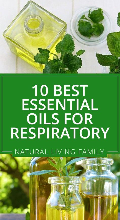 Respiratory Oil Blend, Oils For Respiratory Infection, Essential Oils Respiratory Support, Respiratory Essential Oil Diffuser Blend, Essential Oils To Help Breathing, Essential Oils For Bronchitis Diffuser, Doterra Oils For Bronchitis, Essential Oils Lungs Health, Essential Oils For Bronchitis Cough