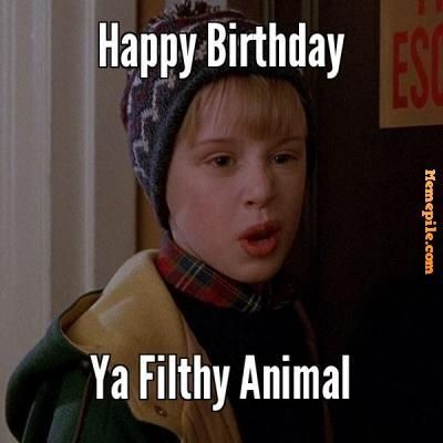 Happy Birthday ya filthy animal Funny Merry Christmas Memes, Merry Christmas Meme, Quotes Girlfriend, Christmas Extravaganza, Funny Happy Birthday Meme, Funny Happy Birthday Pictures, Christmas Memes Funny, Christmas Classics, Sister Birthday Quotes