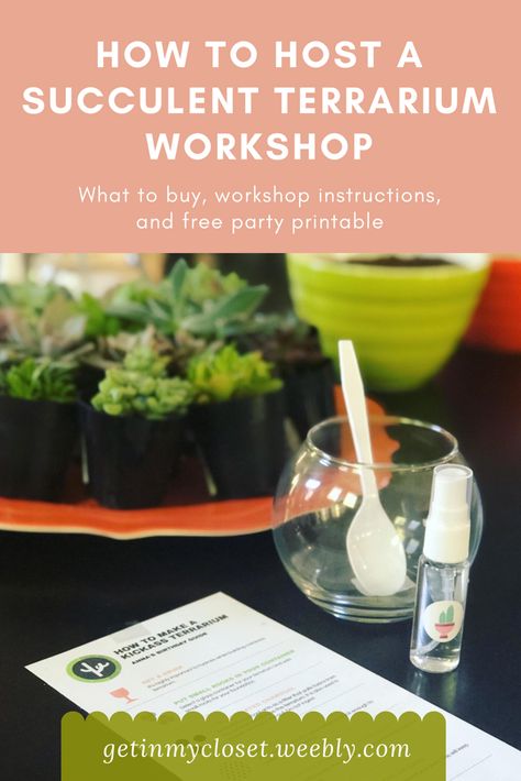 Succulent Soil Layers, Terrarium Workshop Ideas, Terrarium Party Ideas, Succulent Workshop Ideas, Plant Workshop Ideas, Terrarium Care, Terrarium Party, Succulent Workshop, Terraria Party